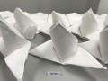 Largest Display of Folded Napkins06