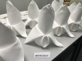 Largest Display of Folded Napkins12