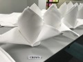 Largest Display of Folded Napkins13