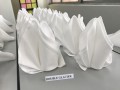Largest Display of Folded Napkins14