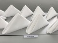 Largest Display of Folded Napkins15