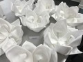 Largest Display of Folded Napkins17
