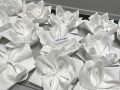 Largest Display of Folded Napkins19