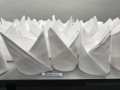 Largest Display of Folded Napkins20