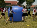 pushball-obstacle13