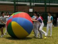 pushball-obstacle15