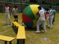 pushball-obstacle16