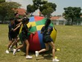 pushball-obstacle2
