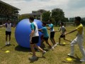 pushball-obstacle20