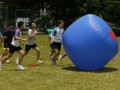 pushball-obstacle22