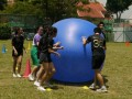 pushball-obstacle3