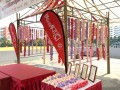 Largest display of paper orchids@woodgrove ccc (1)
