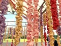 Largest display of paper orchids@woodgrove ccc (13)