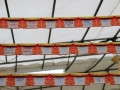 Longest Display of Chinese New Year Cards