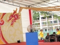 Longest Display of Chinese New Year Cards
