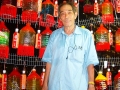 Largest Lantern Made Of Handpainted Plastic Bottles