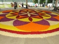 Largest Athapookalam