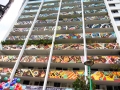 canvas installation7a