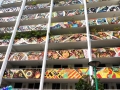canvas installation8