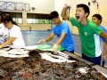 Largest Logo Made Of Jelly Worms