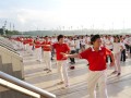 qigong-stc16