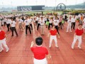 qigong-stc24