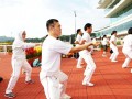 qigong-stc30