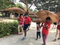 Largest Mass Walk With Umbrellas (10)