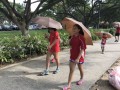 Largest Mass Walk With Umbrellas (13)