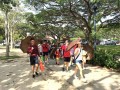 Largest Mass Walk With Umbrellas (17)