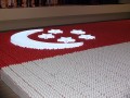 flag-eggs17
