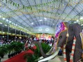 thoranam-longest14a