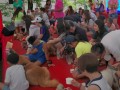 dogs-eating13