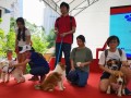 dogs-eating16