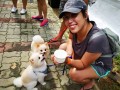 dogs-eating18