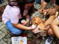 dogs-eating19