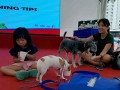dogs-eating4
