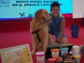 dogs-eating5