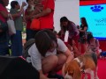 dogs-eating8