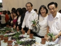 Most Number Of People Planting Orchids Together