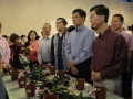 Most Number Of People Planting Orchids Together