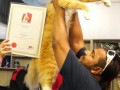 cat15a