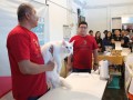 cat4