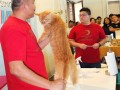 cat5
