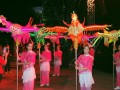 phoenix15