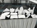 Largest Display of Folded Napkins24