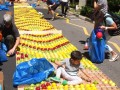fruitmosaic12