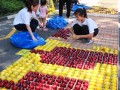 fruitmosaic15