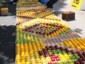 fruitmosaic17