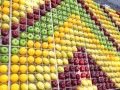 fruitmosaic18